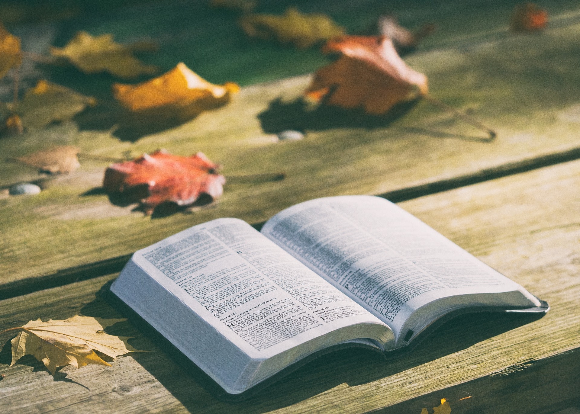 oração e leitura da Bíblia